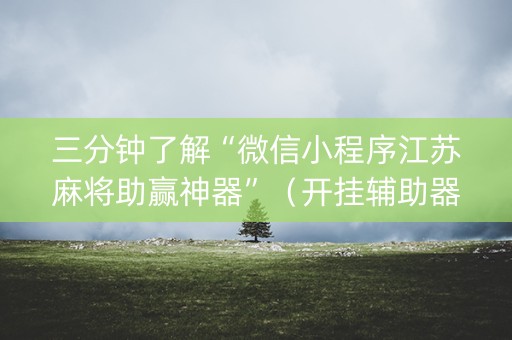 三分钟了解“微信小程序江苏麻将助赢神器”（开挂辅助器插件)