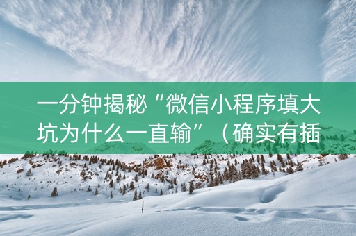 一分钟揭秘“微信小程序填大坑为什么一直输”（确实有插件吗)