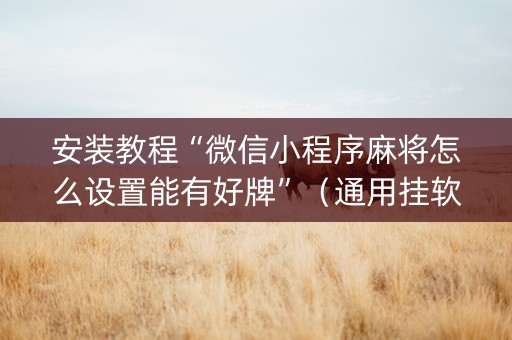 安装教程“微信小程序麻将怎么设置能有好牌”（通用挂软件多少钱)