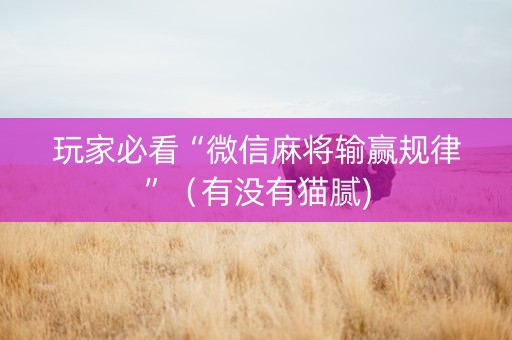 玩家必看“微信麻将输赢规律”（有没有猫腻)