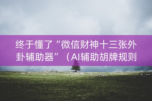 终于懂了“微信财神十三张外卦辅助器”（AI辅助胡牌规则)