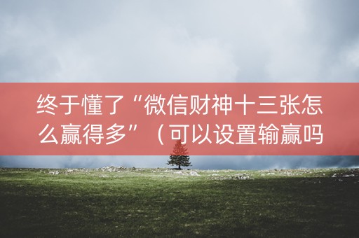 终于懂了“微信财神十三张怎么赢得多”（可以设置输赢吗)