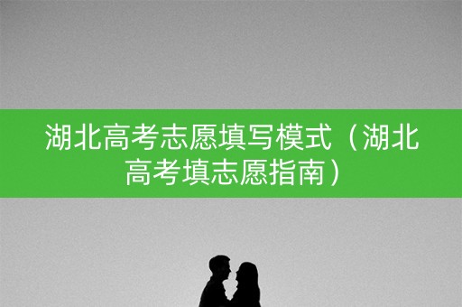 湖北高考志愿填写模式（湖北高考填志愿指南）