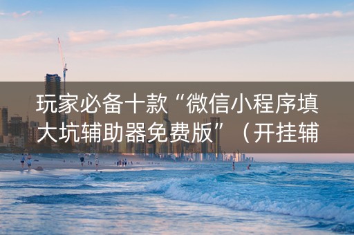 玩家必备十款“微信小程序填大坑辅助器免费版”（开挂辅助脚本)