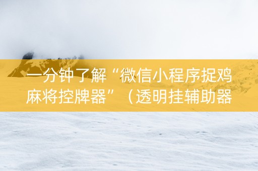 一分钟了解“微信小程序捉鸡麻将控牌器”（透明挂辅助器)