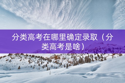 分类高考在哪里确定录取（分类高考是啥）