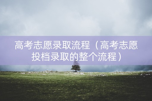 高考志愿录取流程（高考志愿投档录取的整个流程）