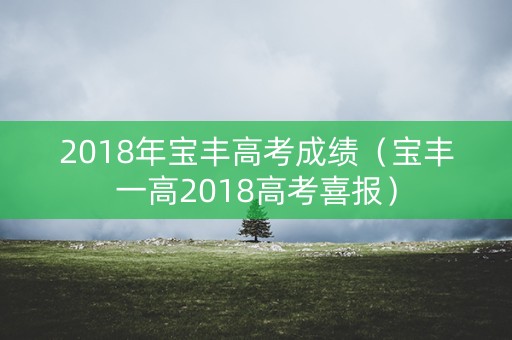 2018年宝丰高考成绩（宝丰一高2018高考喜报）
