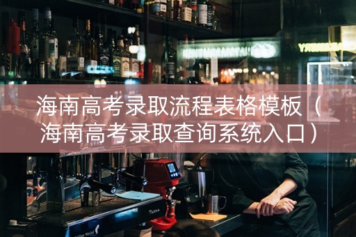 海南高考录取流程表格模板（海南高考录取查询系统入口）