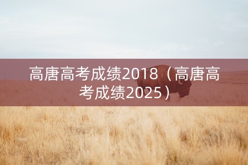 高唐高考成绩2018（高唐高考成绩2025）