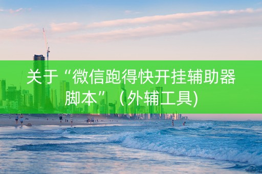 关于“微信跑得快开挂辅助器脚本”（外辅工具)