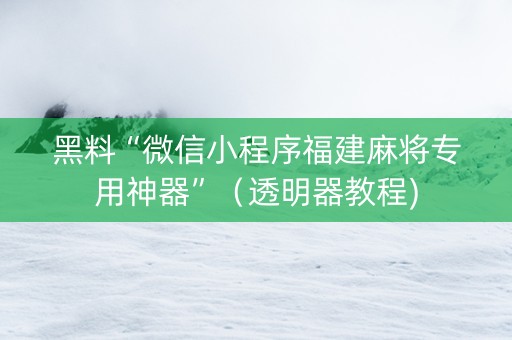 黑料“微信小程序福建麻将专用神器”（透明器教程)