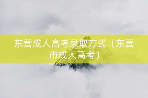 东营成人高考录取方式（东营市成人高考）