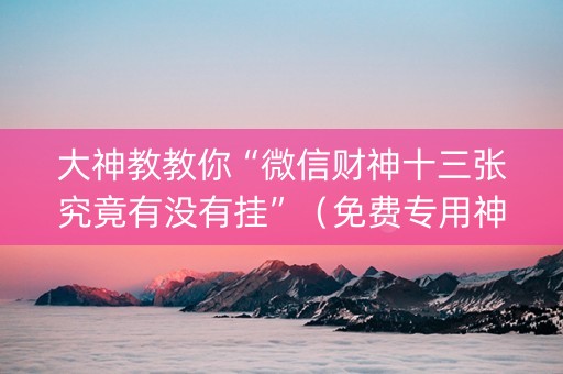 大神教教你“微信财神十三张究竟有没有挂”（免费专用神器)