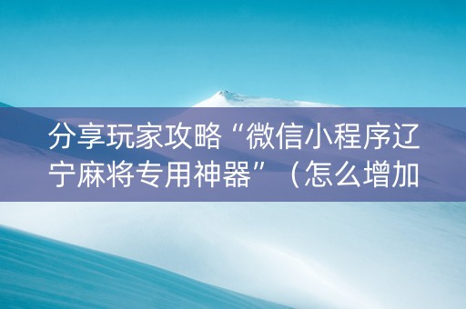 分享玩家攻略“微信小程序辽宁麻将专用神器”（怎么增加胜率)