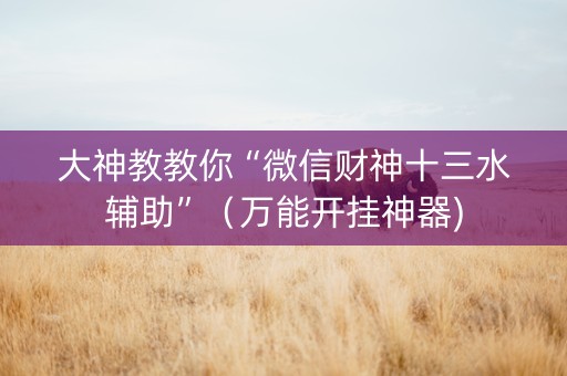 大神教教你“微信财神十三水辅助”（万能开挂神器)