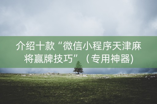 介绍十款“微信小程序天津麻将赢牌技巧”（专用神器)