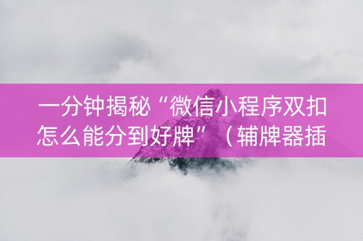 一分钟揭秘“微信小程序双扣怎么能分到好牌”（辅牌器插件购买)