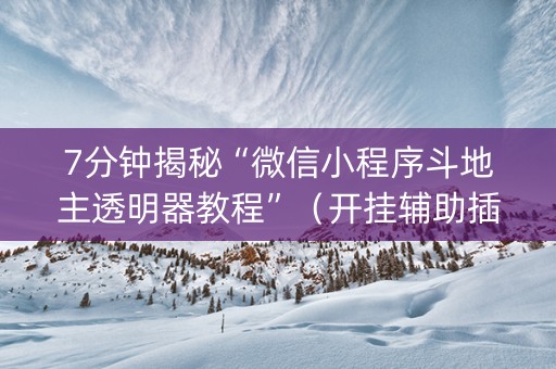 7分钟揭秘“微信小程序斗地主透明器教程”（开挂辅助插件)