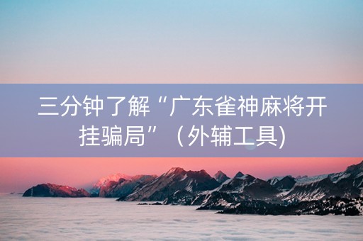 三分钟了解“广东雀神麻将开挂骗局”（外辅工具)