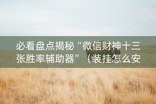 必看盘点揭秘“微信财神十三张胜率辅助器”（装挂怎么安装)
