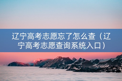 辽宁高考志愿忘了怎么查（辽宁高考志愿查询系统入口）