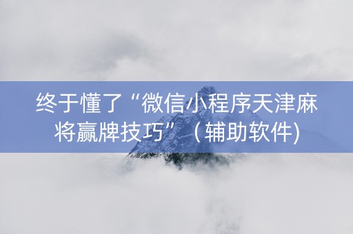 终于懂了“微信小程序天津麻将赢牌技巧”（辅助软件)