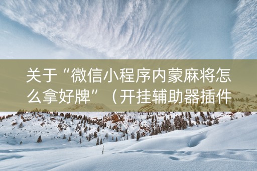 关于“微信小程序内蒙麻将怎么拿好牌”（开挂辅助器插件)