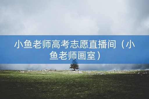 小鱼老师高考志愿直播间（小鱼老师画室）