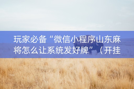 玩家必备“微信小程序山东麻将怎么让系统发好牌”（开挂辅助器插件)