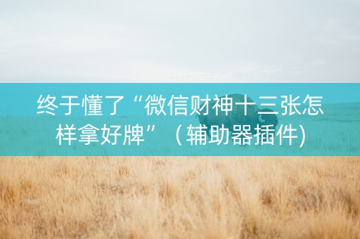 终于懂了“微信财神十三张怎样拿好牌”（辅助器插件)