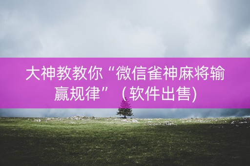 大神教教你“微信雀神麻将输赢规律”（软件出售)