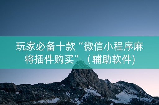 玩家必备十款“微信小程序麻将插件购买”（辅助软件)