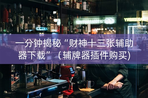 一分钟揭秘“财神十三张辅助器下载”（辅牌器插件购买)