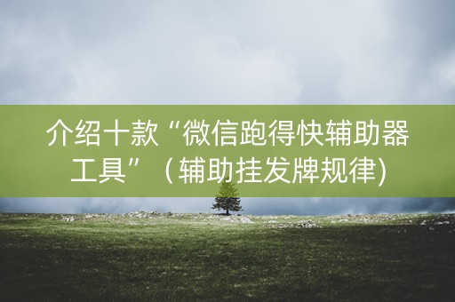 介绍十款“微信跑得快辅助器工具”（辅助挂发牌规律)