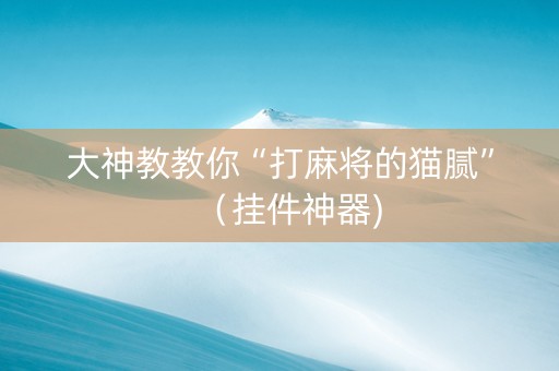 大神教教你“打麻将的猫腻”（挂件神器)