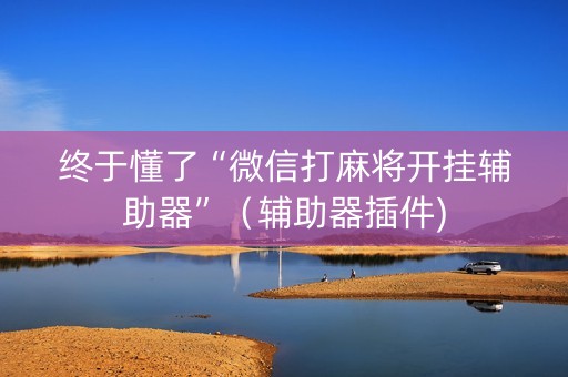 终于懂了“微信打麻将开挂辅助器”（辅助器插件)