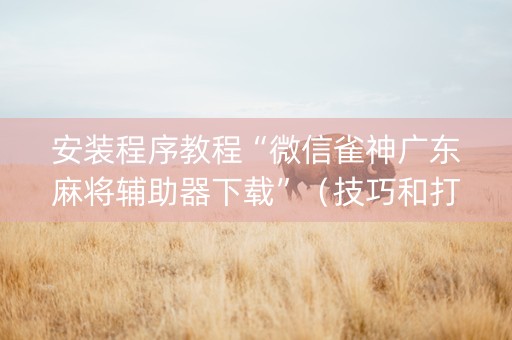 安装程序教程“微信雀神广东麻将辅助器下载”（技巧和打好牌方法)