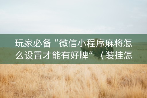 玩家必备“微信小程序麻将怎么设置才能有好牌”（装挂怎么安装)