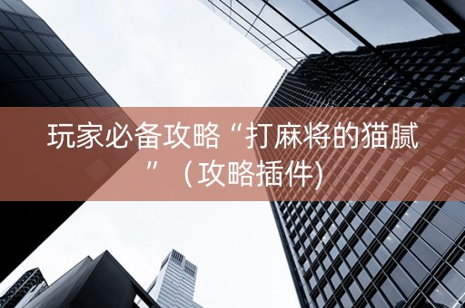 玩家必备攻略“打麻将的猫腻”（攻略插件)