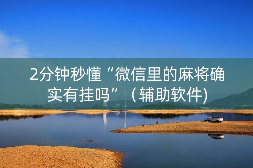 2分钟秒懂“微信里的麻将确实有挂吗”（辅助软件)