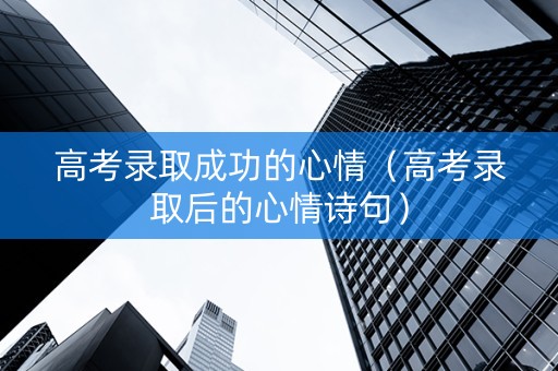 高考录取成功的心情（高考录取后的心情诗句）