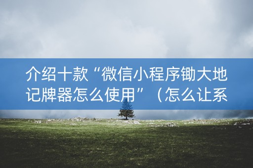 介绍十款“微信小程序锄大地记牌器怎么使用”（怎么让系统给你发好牌)