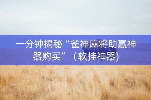 一分钟揭秘“雀神麻将助赢神器购买”（软挂神器)