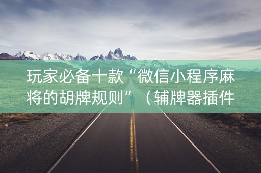 玩家必备十款“微信小程序麻将的胡牌规则”（辅牌器插件购买)