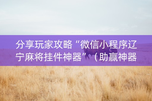 分享玩家攻略“微信小程序辽宁麻将挂件神器”（助赢神器购买)