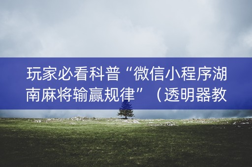 玩家必看科普“微信小程序湖南麻将输赢规律”（透明器教程)