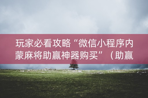 玩家必看攻略“微信小程序内蒙麻将助赢神器购买”（助赢神器购买)