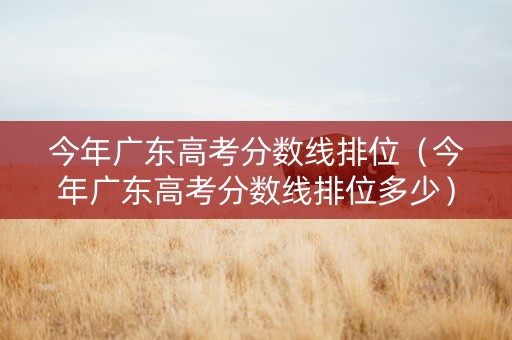 今年广东高考分数线排位（今年广东高考分数线排位多少）