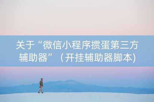 关于“微信小程序掼蛋第三方辅助器”（开挂辅助器脚本)